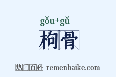 枸骨是什么意思的图片